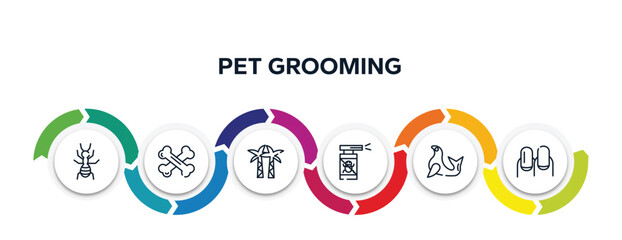 pet grooming outline icons with infographic template. thin line icons such as ant, bones, palm tree, anti flea, seal, nails vector.