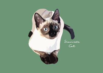 Vector Illustration of  Siamese Cat, Wichien Maat, Cat