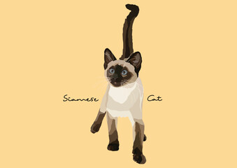 Vector Illustration of  Siamese Cat, Wichien Maat, Cat