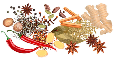 Set of various spices and herbs top view vector illustration