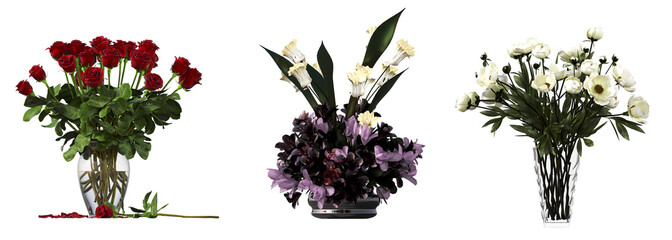 decorative flowers and plants for the interior, isolated on white background, 3D illustration, cg render