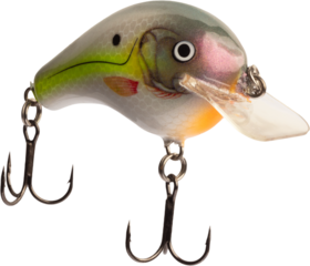 Quartering view of a fishing lure