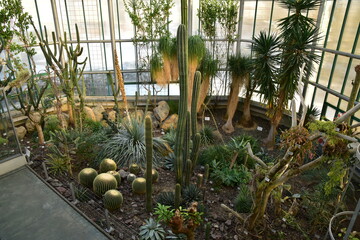 Botanic Garden Liberec winter greenhouse