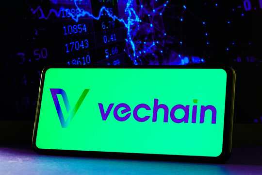 February 10, 2023, Brazil. In this photo illustration the VeChainThor Blockchain logo seen displayed on a smartphone.
