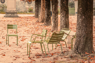 Fototapeta na wymiar Chairs of the Tuileries garden in Paris, France in Autumn