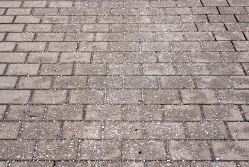 Salt grains on paving slabs in winter season. Sprinkle salt on icy sidewalk. Treatment roads and...