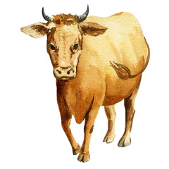 Watercolor illustration of cow, hand drawn sketch, ginger farm animal, pet, lying cow on a white background