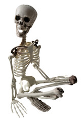 squelette humain en matière plastique sur fond transparent