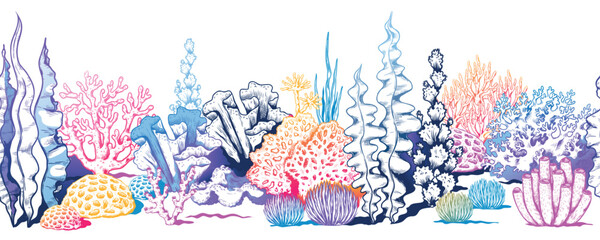 Coral reef pattern, sea water. Tropical border, red ocean animals habitat, color marine seaweed, exotic summer undersea background. Aquarium elements. Vector seamless illustration © SpicyTruffel