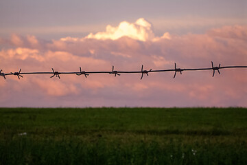 Pink sunset clouds and grass behind barbed wire on a summer evening. Restriction of freedom, prison. Environmental problems. Sky background