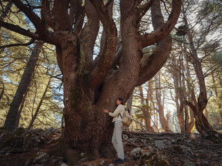 asian woman enjoys being in nature, beautiful forest in mountains. embracing fresh air and engaging in outdoor activities. Friluftsliv concept means spending as much time outdoors as possible