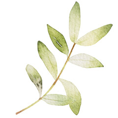 Natural leaf watercolor hand painted