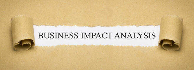 Business Impact Analysis