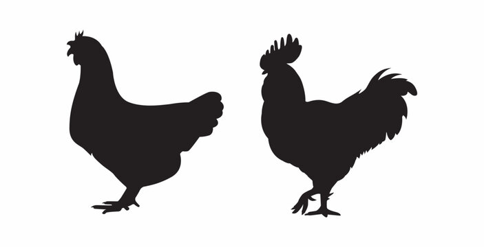 vector silhouettes of roosters and hens 