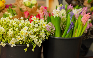 bouquets of spring flowers in florist shop
