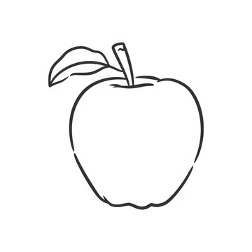 Apple line art vector illustration, Coloring book of healthy fruit