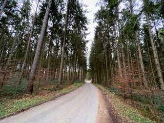 Fototapeta na wymiar Bavarian Forest walk way during winter time 