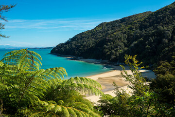 Einsamer Sandstrand und Bucht im Abel Tasman Nationalpark auf Neuseelands Südinsel mit tropischen Wäldern und türkisem Meer.