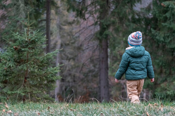 Back view child in knitted hat and warm jacket walks through pine forest on autumn day. Child...