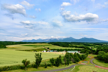 Fototapeta premium 北海道 初夏の上富良野町 