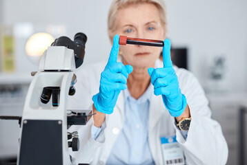 Senior woman, doctor and hands with blood test, vial or sample for scientific research, testing or exam in a lab. Elderly female scientist or medical expert holding DNA for science at laboratory