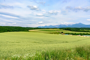 北海道　初夏の上富良野町
