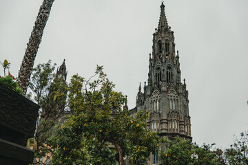 Katedra w Arucas