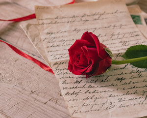 A handwritten letter with beautiful handwriting on top of the letter is a red rose