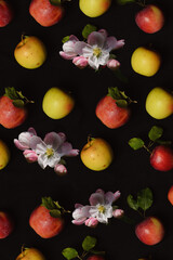 Fruit pattern from apples and flowers background