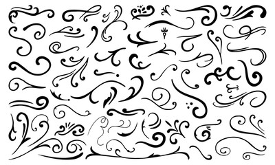 Calligraphy Curvy Line Floral Decoration. Hand drawn decorative curls and swirls. Flourish swirl ornate decoration for pointed pen ink calligraphy style.