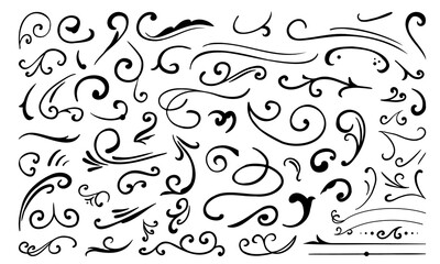 Calligraphy Curvy Line Floral Decoration. Hand drawn decorative curls and swirls. Flourish swirl ornate decoration for pointed pen ink calligraphy style. - obrazy, fototapety, plakaty