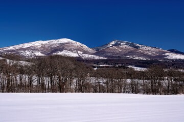 長野県・上田市 冬の菅平高原から望む四阿山と根子岳の風景