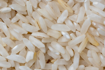 Macro image of uncooked carolina gold rice 