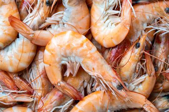 Macro image of raw whole shrimp