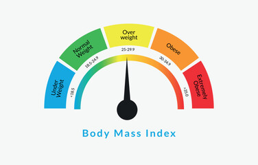 Body Mass Index Infographic Chart. Colorful BMI Chart Vector Illustration With White Isolated Background - obrazy, fototapety, plakaty