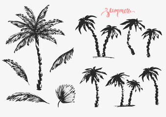 Fototapeta na wymiar Hand drawn palm trees and leaves black ink sketch set.