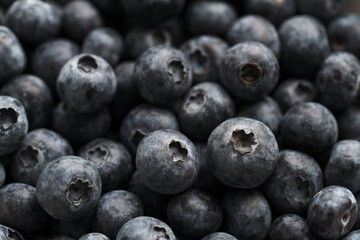 Closeup shot of fresh organic blueberries