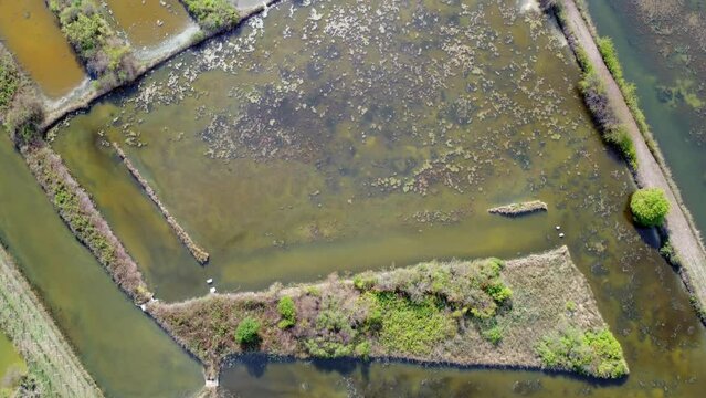 Marano reserve and lagoon. Protected oasis and historic village