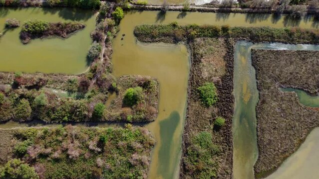 Marano reserve and lagoon. Protected oasis and historic village