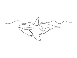 Continuous one line drawing of killer whale. Simple illustration of orca whale line art vector illustration © Line addict