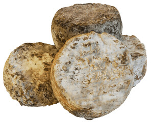 Closeup of several dry french goat cheese (