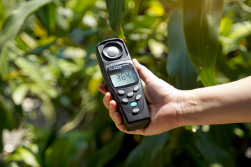 Light meter, Lux Light Meter in hand while measuring light intensity quantity and the brightness of...