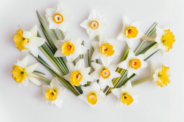 Daffodil Stem Background - Cheerful yellow and white daffodil stems against a crisp white backdrop - Generative AI technology