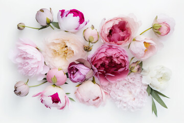 Peony Flower Background - Assorted shades of pink peony blooms against a classic white backdrop - Generative AI technology