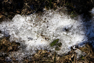 Spring ground covered with thawing snow