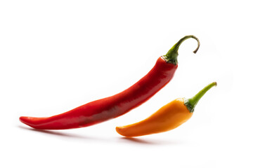 Fresh chili isolated on white background
