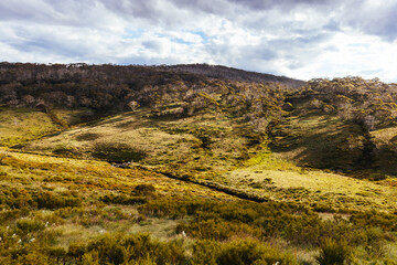 Snowy Mountains View on Cascade Hut Trail in Australia