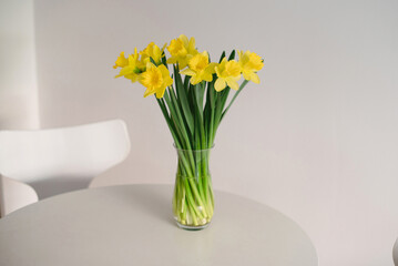 Stunning bouquet of vibrant yellow daffodils on the table is adding a touch of spring to any indoor space. Cheerful  accent, fresh, effortless decor.