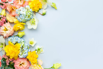 Spring Flowers composition on pastel blue background. Floral concept for Easter, Woman's day or Valentine's day.