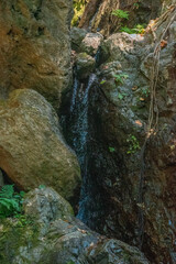 Deep forest waterfall background image.